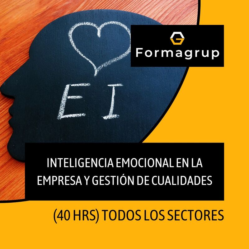 Curso de Inteligencia Emocional en la Empresa - Formagrup
